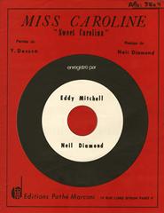 cover: Sweet Caroline, Neil Diamond, Gesang, Gitarre, Klavier