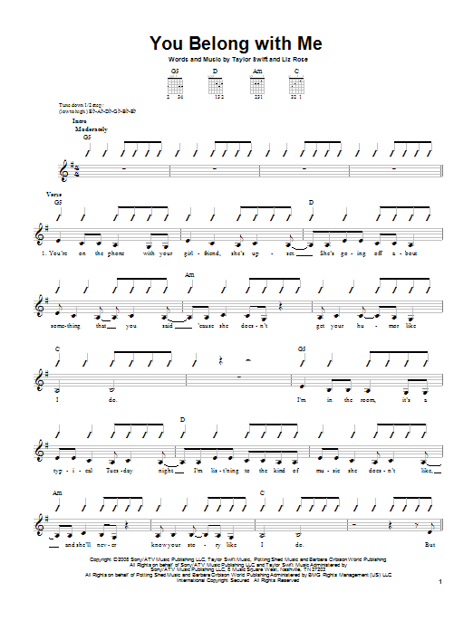 Produktbild zu: You Belong With Me