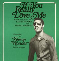 cover: If You Really Love Me, Stevie Wonder, Gesang, Gitarre, Klavier