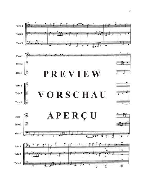 Produktgalerie: Seite 7 von 21 Fantasie a tre voci , , (fantasie for three instruments) Vol 2