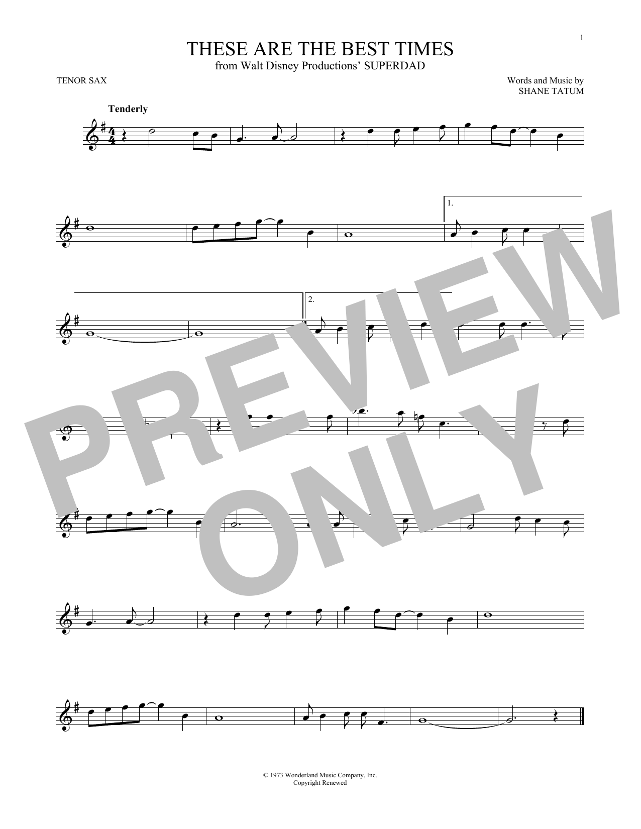 Product gallery: Page 1 of 1 These Are The Best Times, Shane Tatum