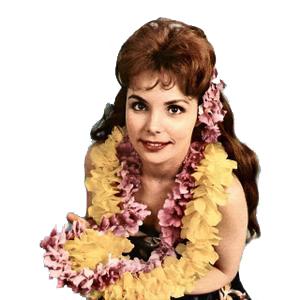 cover: Maori Farewell Song, Traditional Hawaiian Folksong