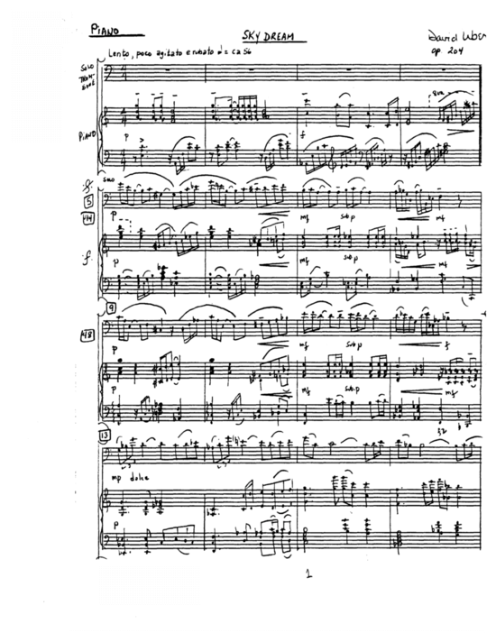 Product picture to: Skydream David Uber