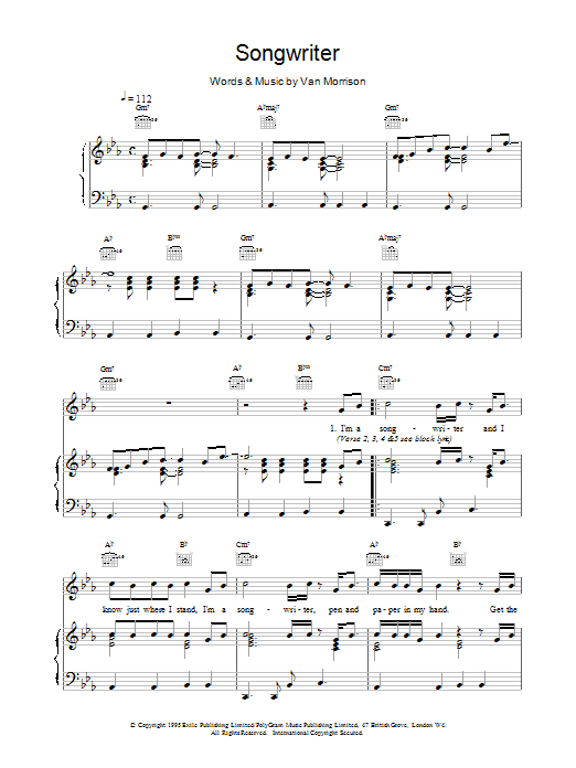 Product picture to: Songwriter