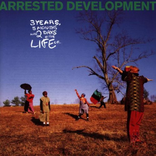 cover: Tennessee, Arrested Development, Gesang, Gitarre, Klavier