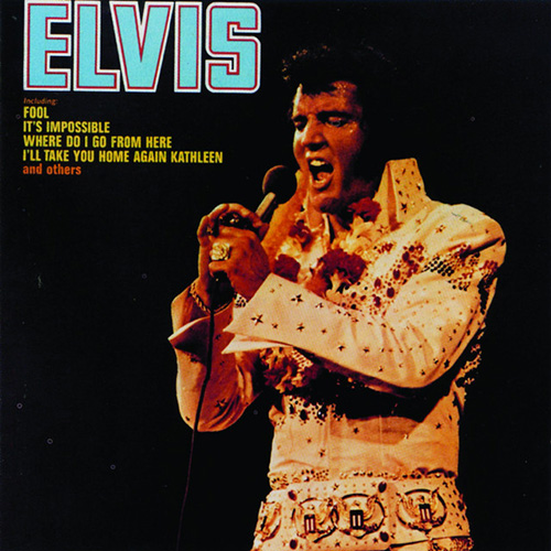 cover: Always On My Mind, Willie Nelson, Elvis Presley, Gitarre