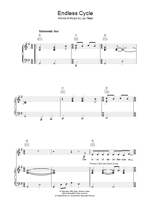 Produktgalerie: Seite 1 von 1 Endless Cycle, Lou Reed, Gesang, Gitarre, Klavier