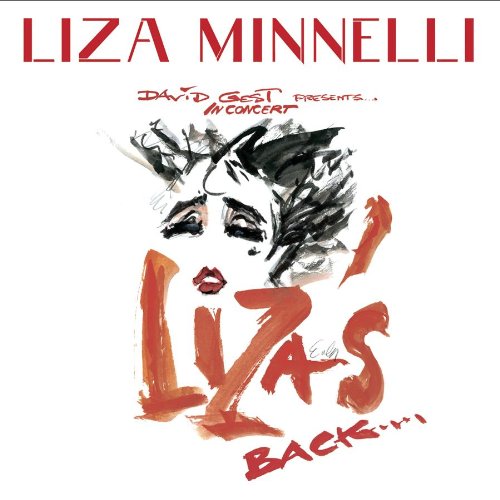 cover: But The World Goes 'Round, Liza Minnelli, Gesang, Klavier