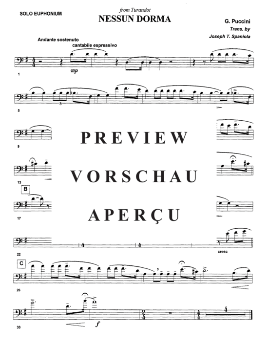 gallery: Nessun Dorma , , (Euphonium + Klavier)