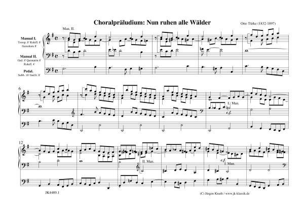 Produktbild zu: Nun ruhen alle Wälder (Choralpräludium)Otto Türke