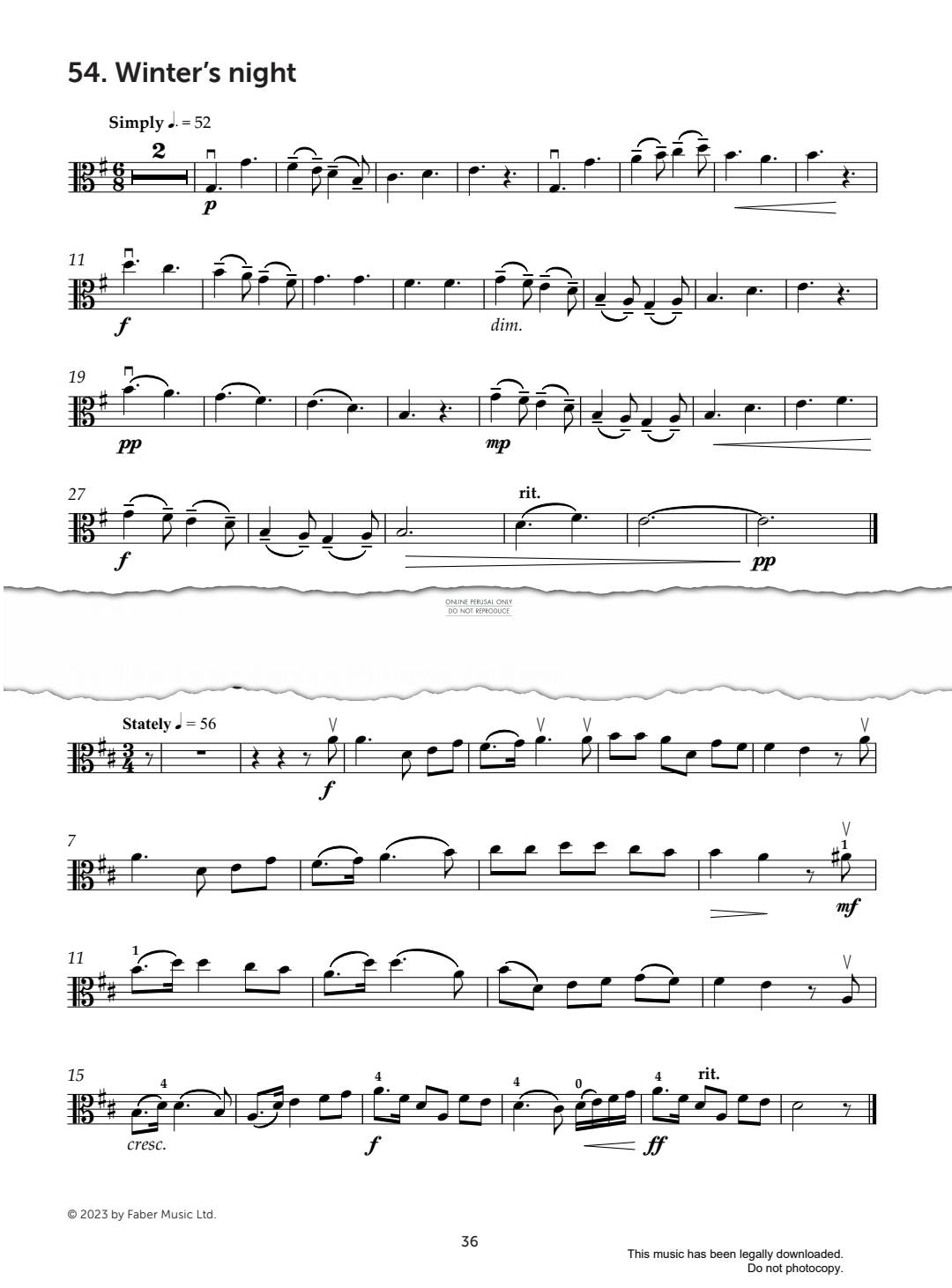 gallery: The Stringdonian National Anthem, Mark Wilson, Klavier, Viola