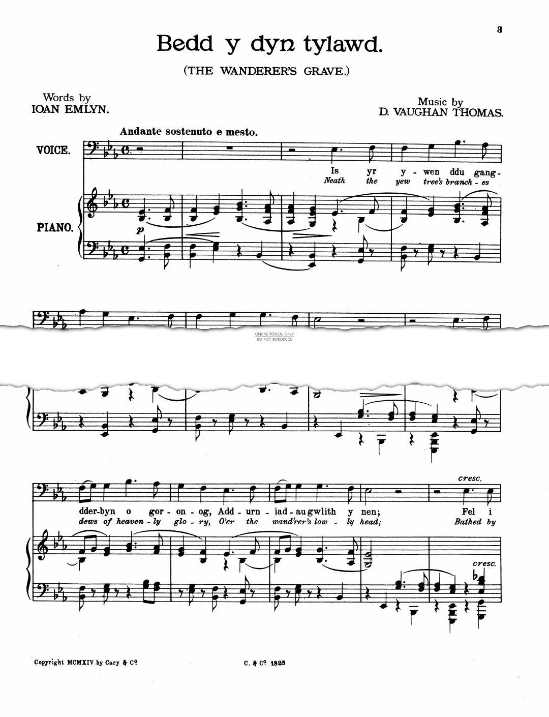 Produktgalerie: Seite 1 von 1 Bedd Y Dyn Tylawd (The Wanderer's Grave), D. Vaughan Thomas, Gesang, Klavier