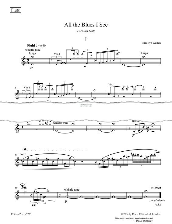 gallery: All The Blues I See, Errollyn Wallen