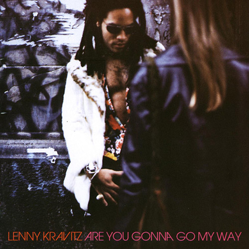 cover: Are You Gonna Go My Way, Lenny Kravitz, E-Bass, Gitarre
