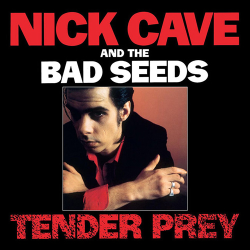 cover: Watching Alice, Nick Cave, Gitarre