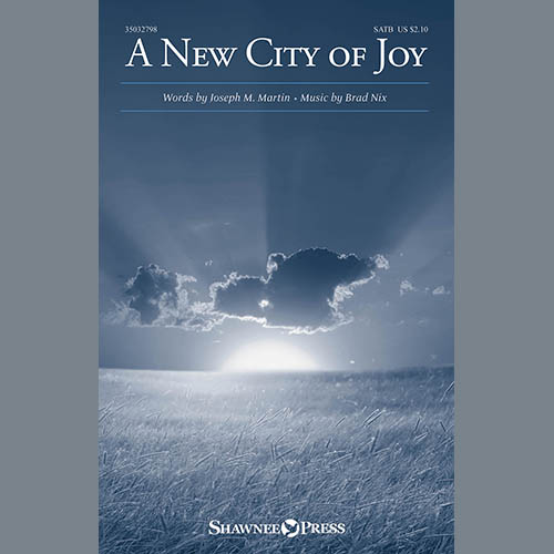 cover: A New City Of Joy, Brad Nix