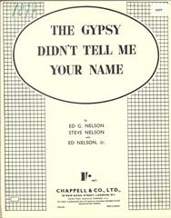 cover: The Gypsy Didn't Tell Me Your Name, Steve Nelson, Gesang, Gitarre, Klavier