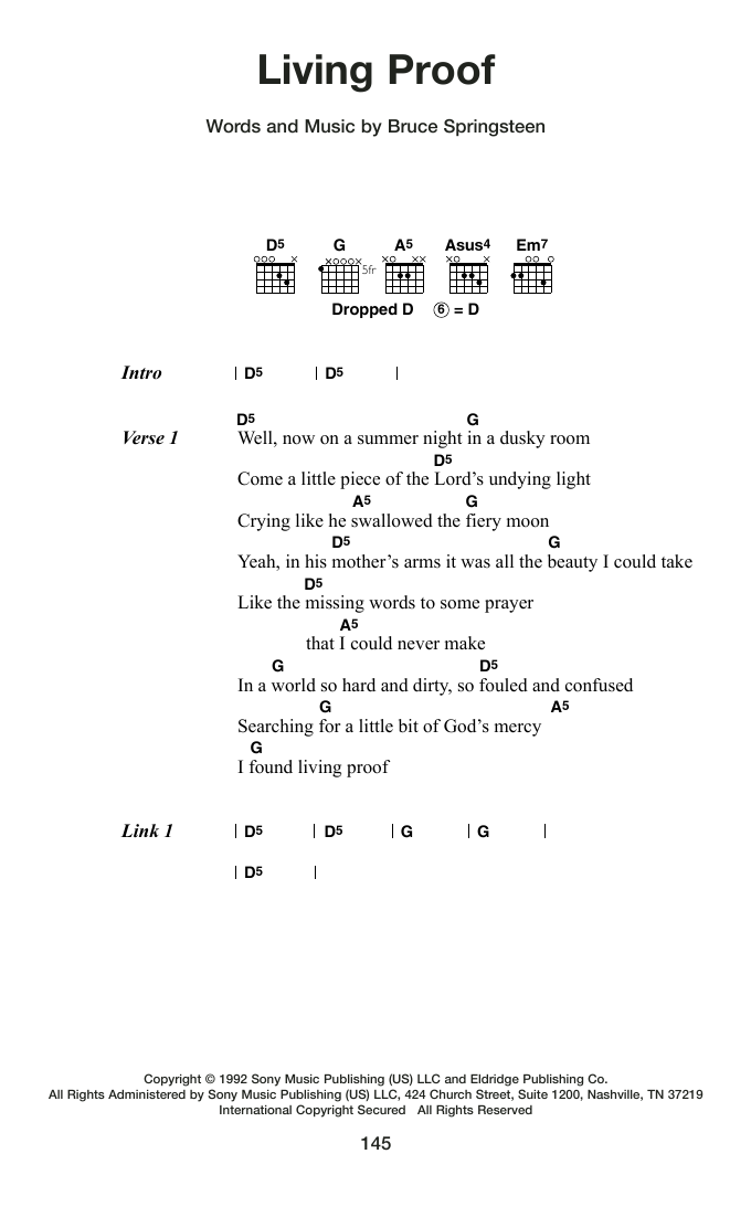 Produktgalerie: Seite 1 von 1 Living Proof, Bruce Springsteen, Gitarre