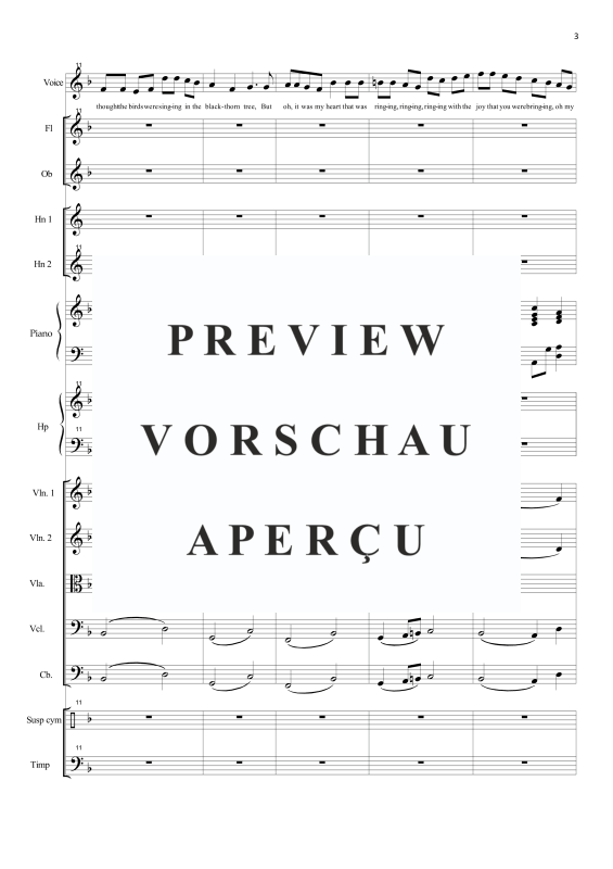 Produktgalerie: Seite 6 von 11 Gortnamona, , Solo Gesang und Orchester