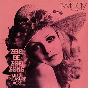 cover: Zoo De Zoo Zong, Twiggy, Gesang, Gitarre, Klavier