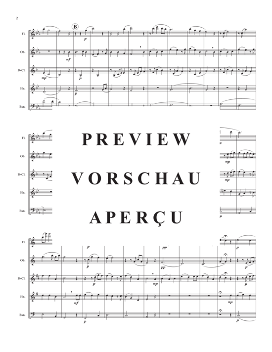 Produktgalerie: Seite 4 von 10 In The Township of Danville , , (Holzbläser Quintett)