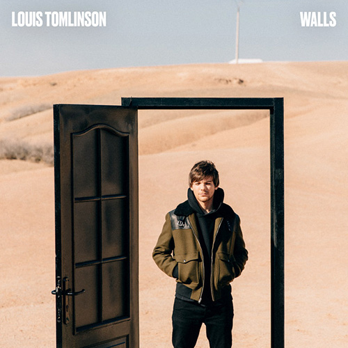 cover: Walls, Louis Tomlinson, Gesang, Gitarre, Klavier