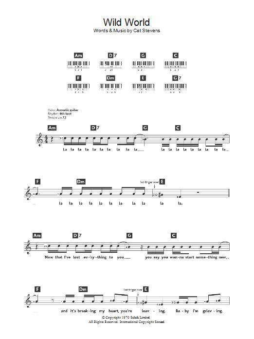 Produktgalerie: Seite 1 von 1 Wild World, Cat Stevens, Melodieinstrument