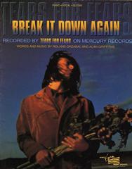 cover: Break It Down Again, Tears For Fears