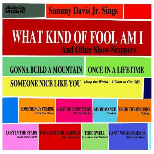 cover: What Kind Of Fool Am I (from Stop The World, I Want To Get Off), Sammy Davis Jr., Gesang, Gitarre, Klavier