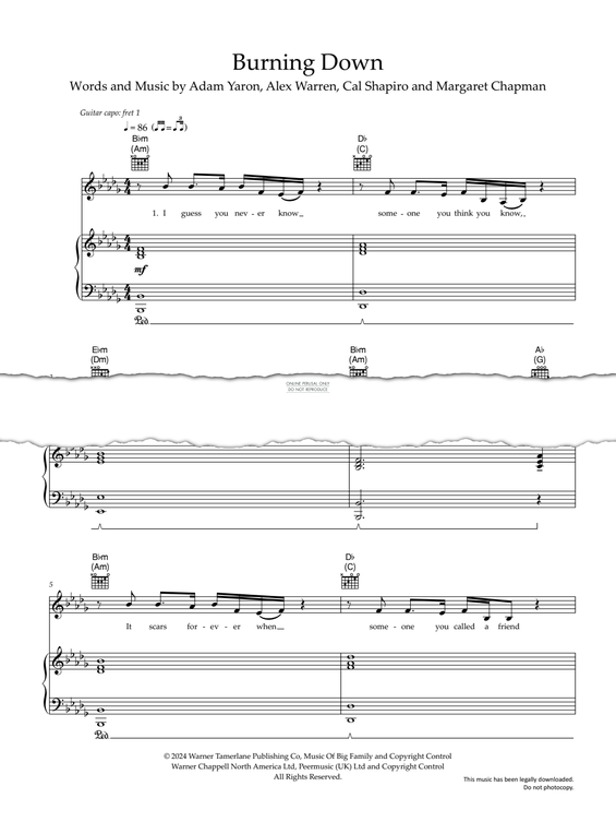 Produktgalerie: Seite 1 von 1 Burning Down, Alex Warren, Gesang, Gitarre, Klavier