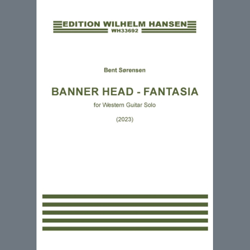 cover: Banner Head - Fantasia, Bent Sørensen