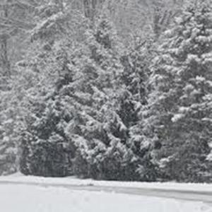 Product picture to: It's Snow Wonder