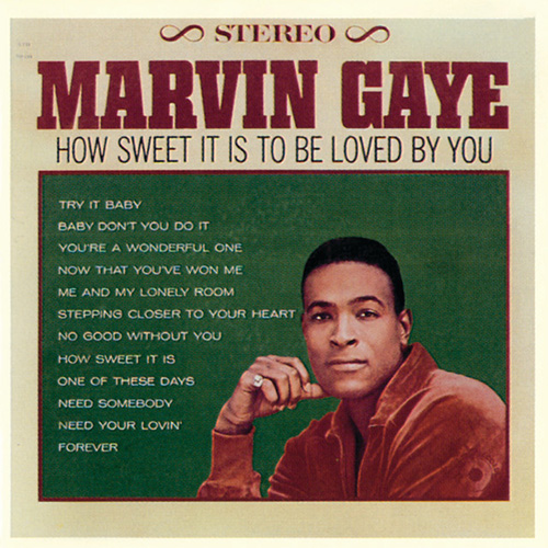 cover: How Sweet It Is (To Be Loved By You), Marvin Gaye, Gitarre