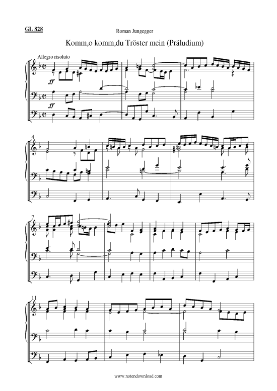 Product picture to: Komm,o komm,du Tröster mein (Präludium) Dr. Roman Jungegger