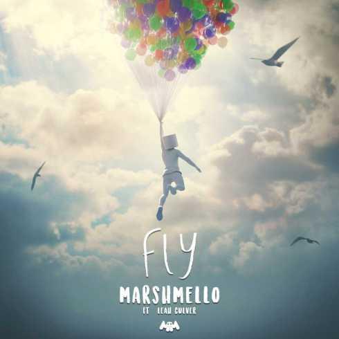 cover: Fly (featuring Leah Culver), Marshmello, Gesang, Gitarre, Klavier