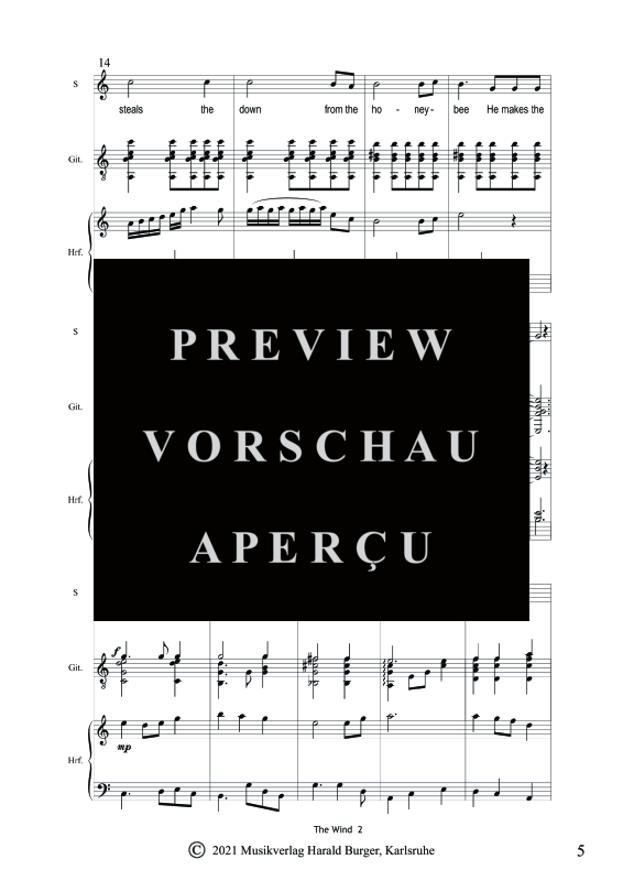 gallery: The Wind, , Gesang und Gitarre