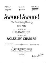 Produktbild zu: Awake! Awake!