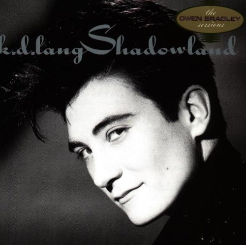 Produktbild zu: Shadowland