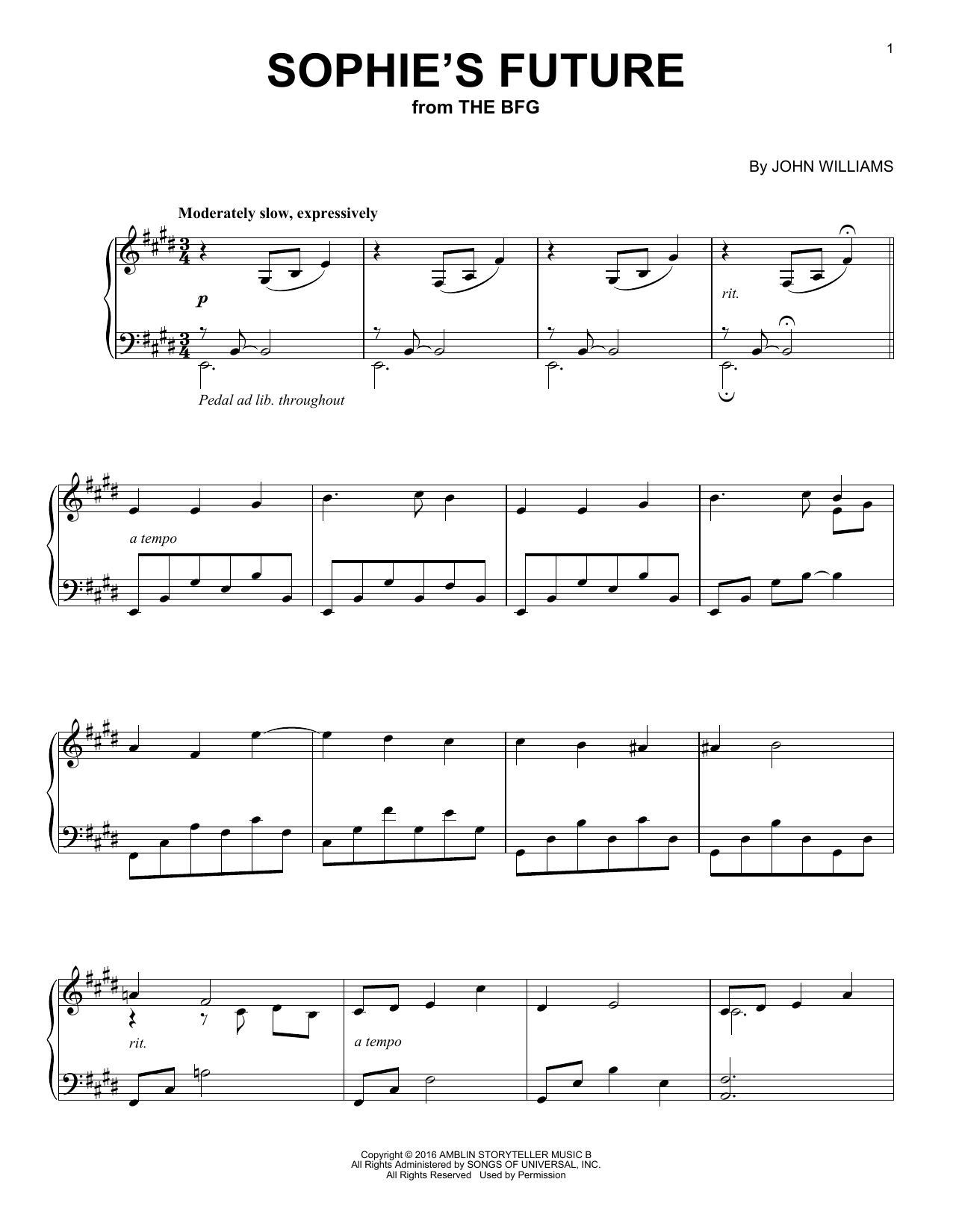 Product gallery: Page 1 of 1 Sophie's Future, John Williams