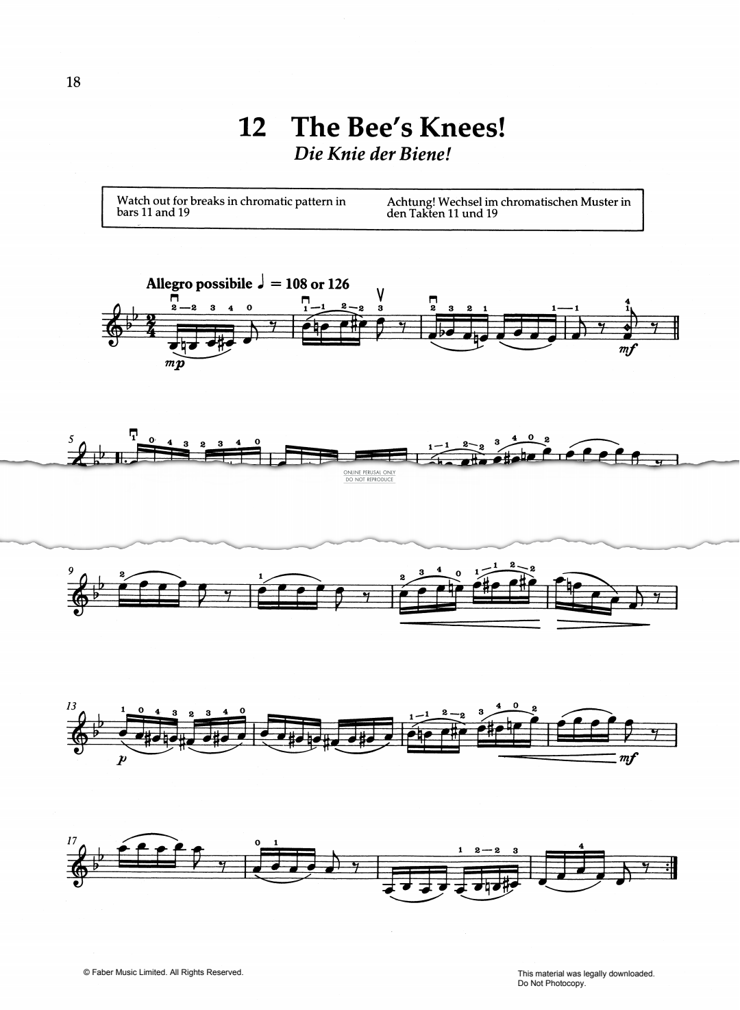 gallery: The Bees Knees, Mary Cohen