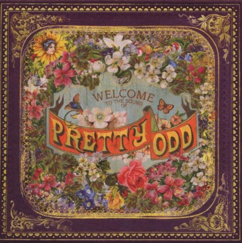 cover: Nine In The Afternoon, Panic At The Disco, Gesang, Gitarre, Klavier
