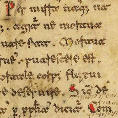 cover: Magi Videntes Stellam, Blasius Amon