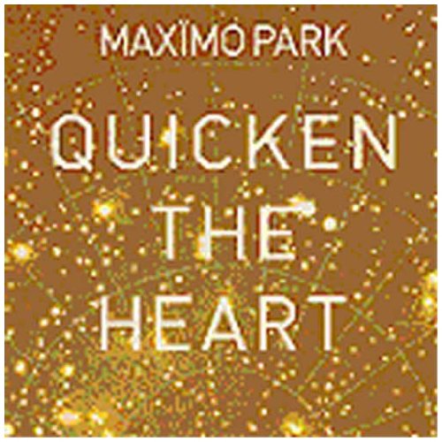 cover: The Kids Are Sick Again, Maximo Park, Gitarre