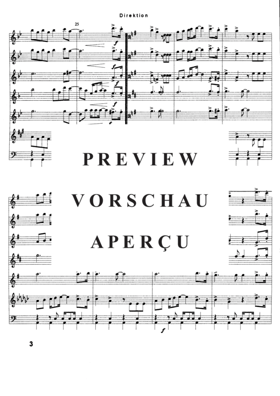 gallery: In the Navy , Village People , (flute quintet, lyre + percussion)