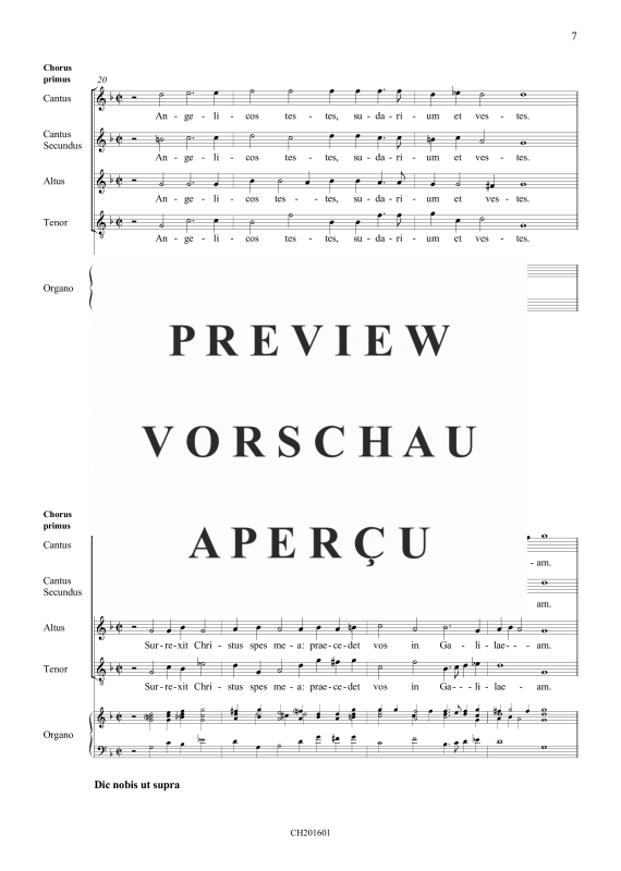 gallery: Acht- und mehrstimmige Motetten, , (Gemischter Chor)