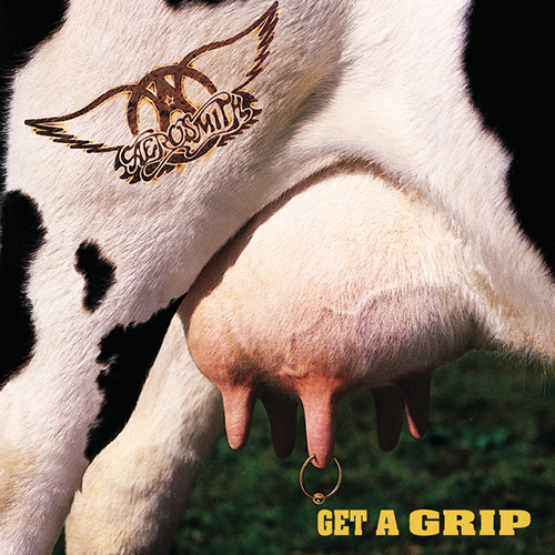 cover: Flesh, Aerosmith