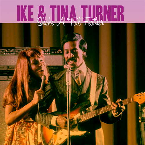cover: Shake A Tail Feather, Ike & Tina Turner, The Romantics, James & Bobby Purify, Gesang, Gitarre, Klavier