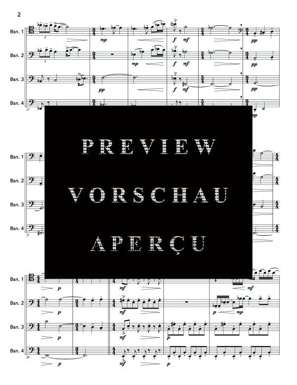 gallery: Suite for Daydreams, , (Fagott Quartett)