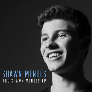 cover: Life Of The Party, Shawn Mendes, Gesang, Gitarre, Klavier