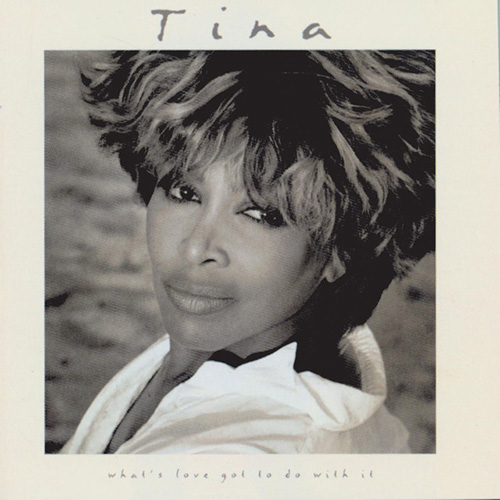 cover: I Don't Wanna Fight, Tina Turner, Gesang, Gitarre, Klavier
